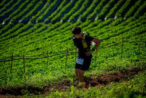 BIB: 9448
                            <button type="button" onclick="openModal(19160678)" class="btn btn-primary btn-sm float-right btn-popup" data-toggle="modal" data-target=".modal-high-quality">
                        <i class="fas fa-shopping-cart"></i> Add to Cart
                    </button>
                                            <button type="button" onclick="isThisMe(19160678, true)" class="btn btn-success btn-sm float-right btn-popup btn-isme hidden" data-toggle="tooltip" data-placement="bottom" title="นี่คือรูปของคุณใช่ไหม คลิกที่นี่เพื่อเอาเข้าอัลบั้ม">
                        <i class="fas fa-plus"></i> Add to album
                    </button>
                    <button type="button" onclick="isThisMe(19160678, false)" class="btn btn-warning btn-sm float-right btn-popup btn-isnotme hidden">
                        <i class="fas fa-ban"></i> Remove from album
                    </button>